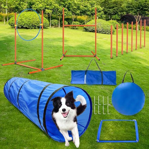 Complete Dog Agility Training Starter Kit with Tunnel, Hurdles, Weave Poles & Jump Ring