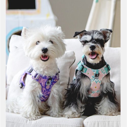 No Pull Breathable Air Mesh Dog Harness Lightweight Adjustable Vest for Small Dogs