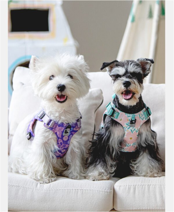 No Pull Breathable Air Mesh Dog Harness Lightweight Adjustable Vest for Small Dogs