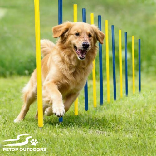 Dog Agility Weave Poles with Stakes for Backyard Training & Obedience Practice