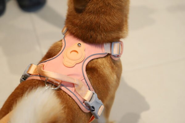 Outdoor Y-Shaped Dog Harness Waterproof Quick Dry with AirTag Holder