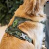 Outdoor Y-Shaped Dog Harness Waterproof Quick Dry with AirTag Holder