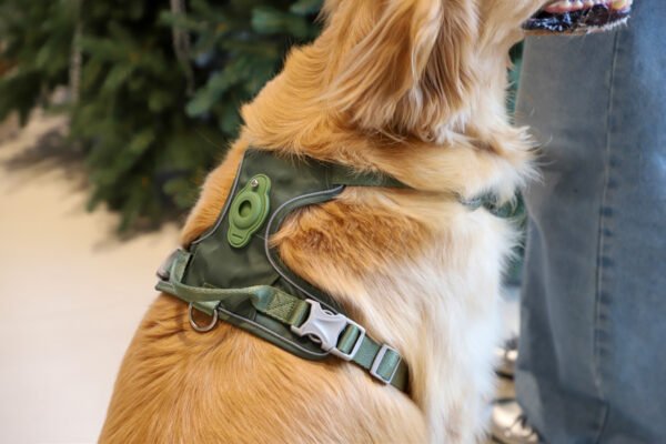 Outdoor Y-Shaped Dog Harness Waterproof Quick Dry with AirTag Holder