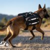 working dog harness manufacturer Heavy Duty Tactical Dog Harness Vest with Backpack for Working Dogs