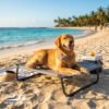 Portable Dog Cot for Camping or Beach, Breathable Cooling Elevated Dog Bed Portable Dog Cot for Camping & Beach