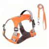 The Best Super Lightweight Minimal Dog Harness for Outdoor Hiking Adventures Summer Dog Gear Dog Harness Supplier