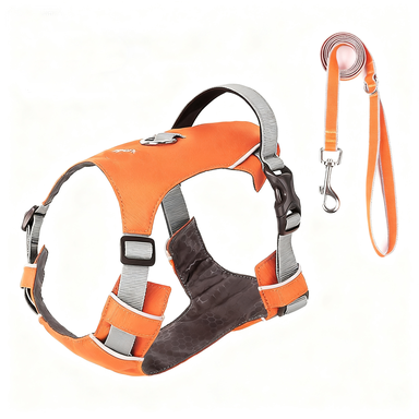 The Best Super Lightweight Minimal Dog Harness for Outdoor Hiking Adventures Summer Dog Gear Dog Harness Supplier