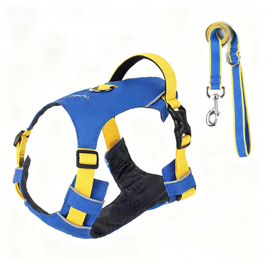 The Best Super Lightweight Minimal Dog Harness for Outdoor Hiking Adventures Summer Dog Gear Dog Harness Supplier