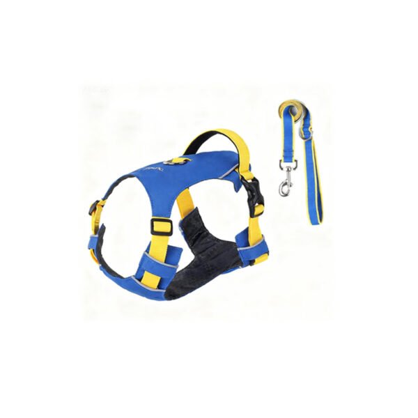 The Best Super Lightweight Minimal Dog Harness for Outdoor Hiking Adventures Summer Dog Gear Dog Harness Supplier
