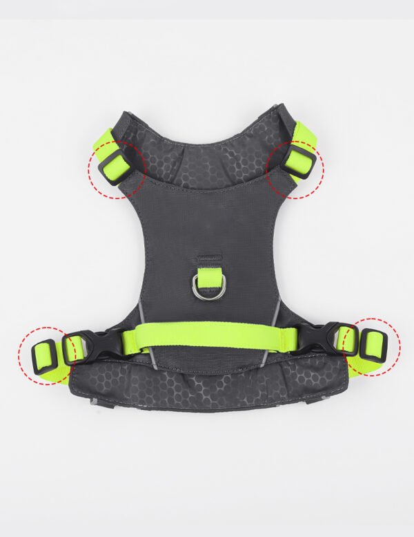 The Best Super Lightweight Minimal Dog Harness for Outdoor Hiking Adventures Summer Dog Gear Dog Harness Supplier