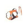 The Best Super Lightweight Minimal Dog Harness for Outdoor Hiking Adventures Summer Dog Gear Dog Harness Supplier