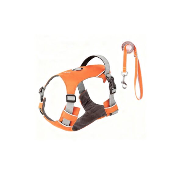 The Best Super Lightweight Minimal Dog Harness for Outdoor Hiking Adventures Summer Dog Gear Dog Harness Supplier
