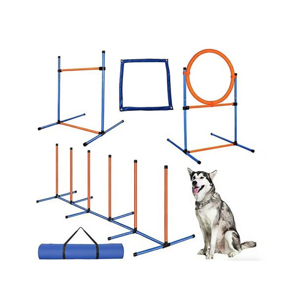 Dog Agility Training Equipment Set with Tunnel, Weave Poles, Hurdles & Jump Ring