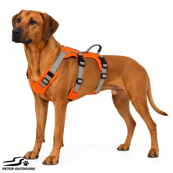 Six Adjustment Options Lightweight Lift-and-Assist Dog Harness with Padded Handle