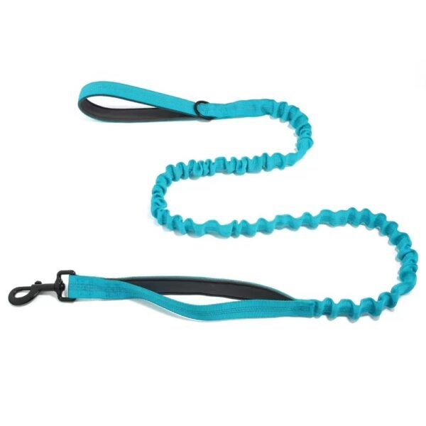 Adjustable Bungee Dog Leash Heavy Duty Bungee Dog Leash Shock Absorbing Lead for Large & Strong Dogs