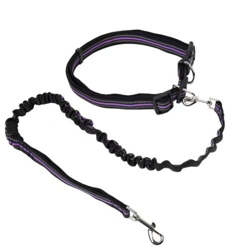 Hands Free Dog Leash Hands Free Dog Leash with Reflective Bungee Running Belt for Walking & Running