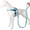 Heavy Duty Bungee Dog Leash Heavy Duty Bungee Dog Leash Shock Absorbing Lead for Large & Strong Dogs