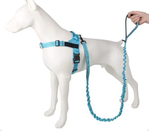 Heavy Duty Bungee Dog Leash Heavy Duty Bungee Dog Leash Shock Absorbing Lead for Large & Strong Dogs
