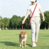 Outdoor Multi Function Dog Leash Multifunctional Bungee Dog Leash Adjustable Shock Absorbing Lead for Running, Hiking