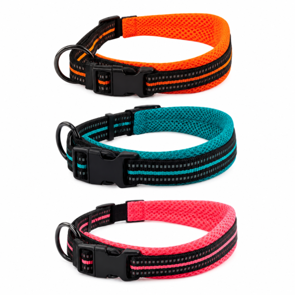 Premium Reflective Nylon Dog Collar with Breathable Mesh Padding & Adjustable Fit