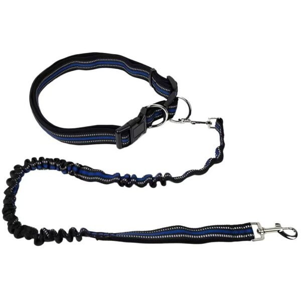 Waist Dog Leash Hands Free Dog Leash with Reflective Bungee Running Belt for Walking & Running