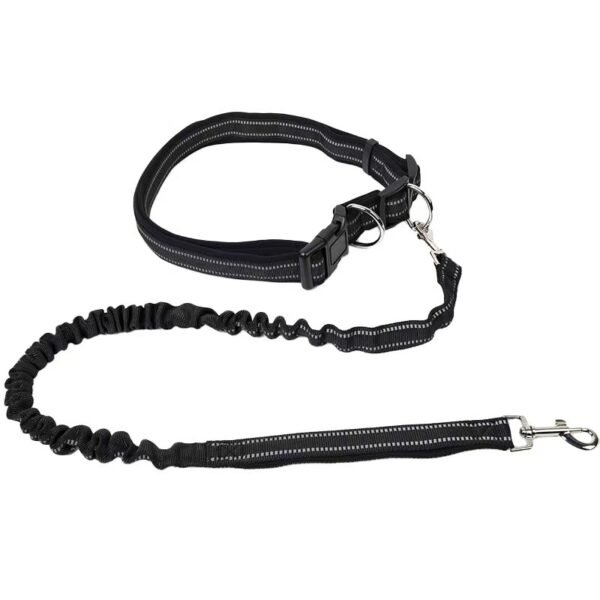 Waist Mounted Dog Leash Hands Free Dog Leash with Reflective Bungee Running Belt for Walking & Running