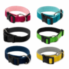 Reflective Nylon Dog Collar with Soft Neoprene Padding & Adjustable Fit